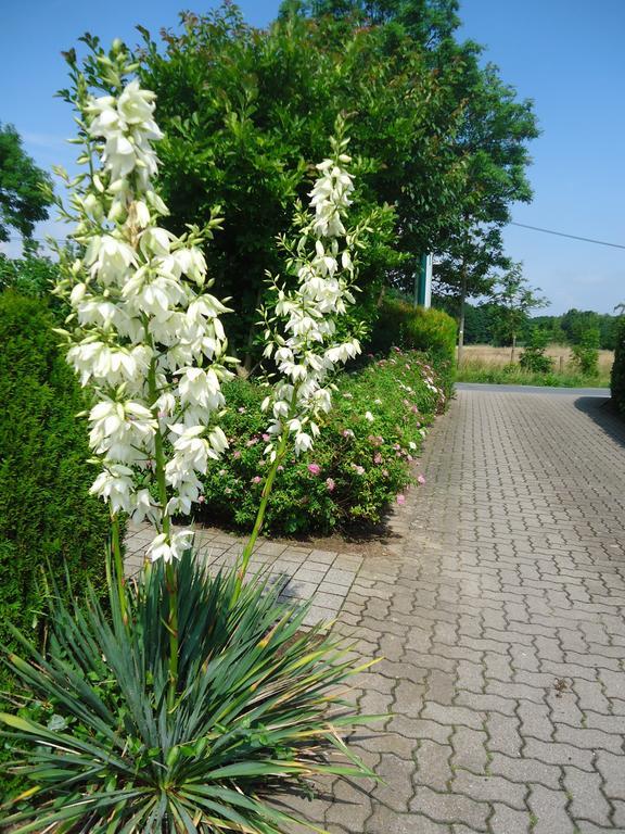 Das Fritz Hotel Schwerin Schoene Lage Im Gruenen Mit Regionaler Kueche Kostenfreien Parkplaetzen Und E Ladestation 외부 사진